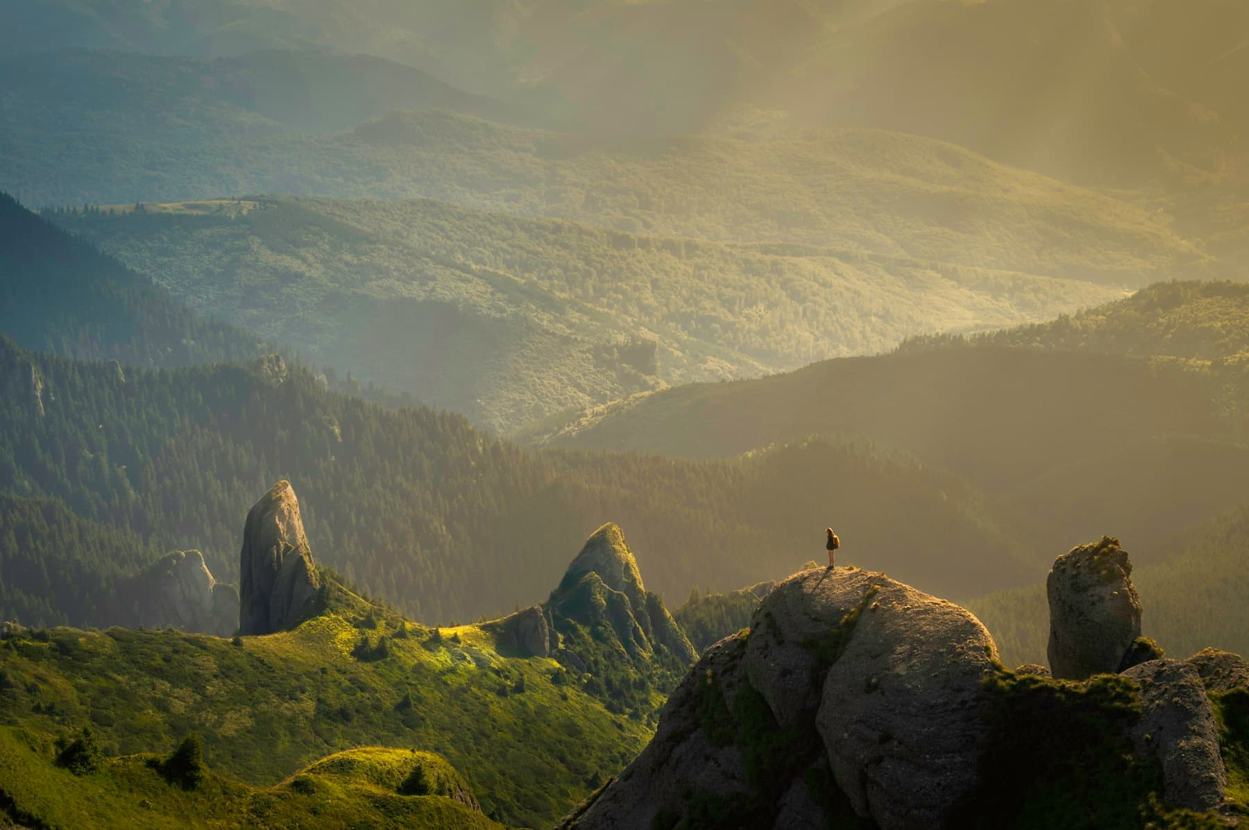 A lone figure standing on a rocky summit above a sea of golden mist